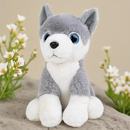 Babique Glittery Eyes Husky Dog Stuffed Plush Animal | Teddy Bear Soft Toy |Ideal for Birthdays & Special Occasions Girls/Boys, Baby Kids -(Grey, 25Cm)
